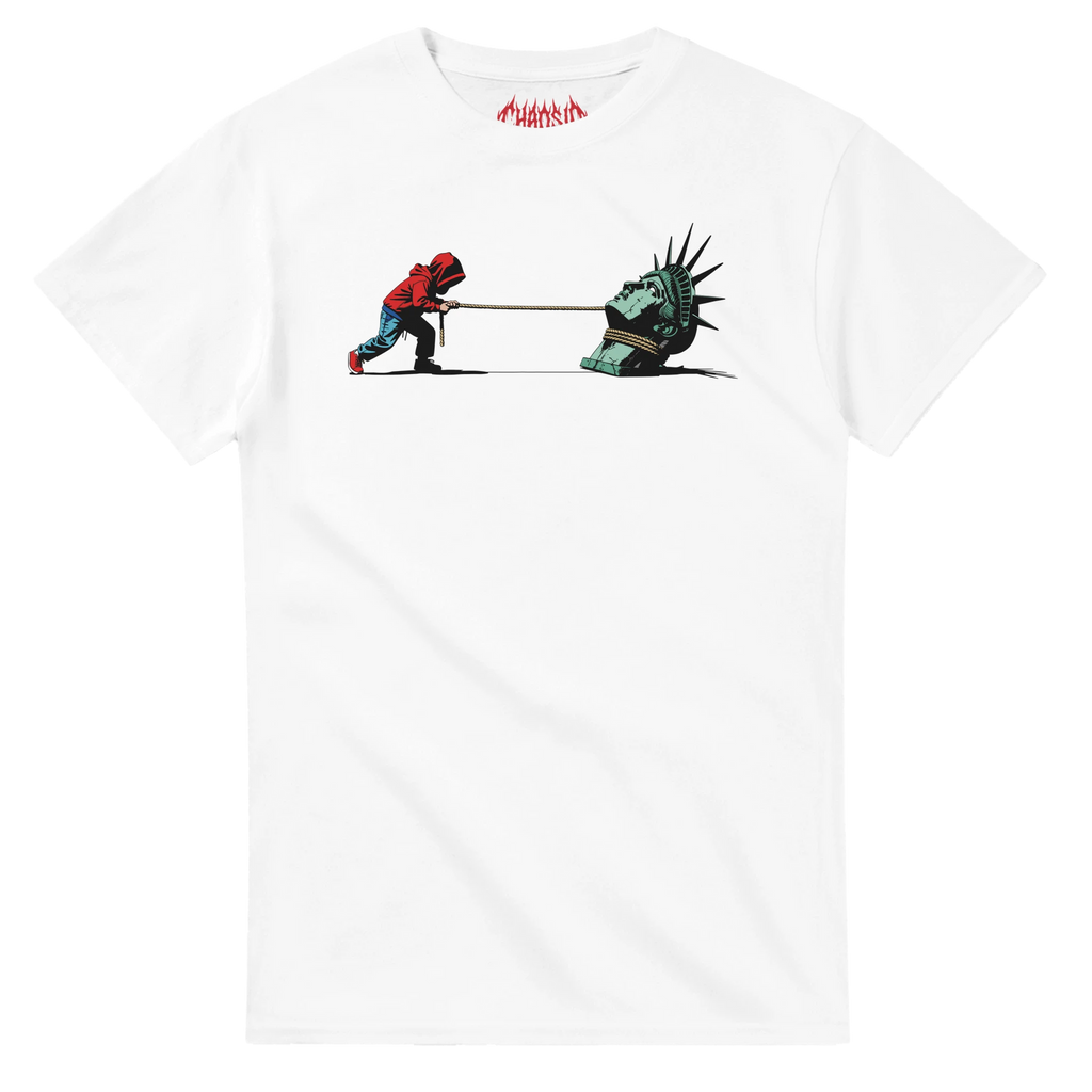 graphic skate tshirt france, chaosid, la vérité inamovible tee